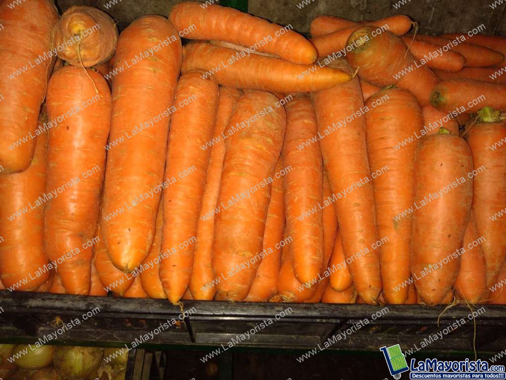 Zanahoria