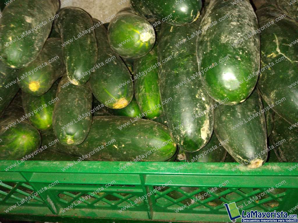 Pepino