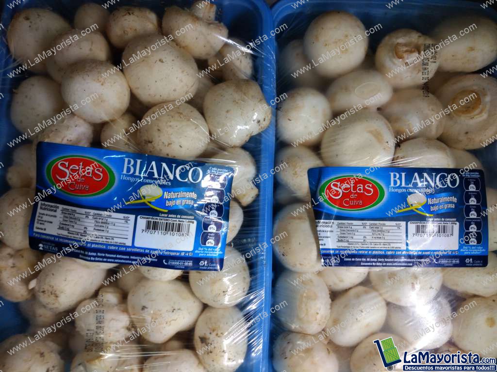 Champiñón blanco x kilo