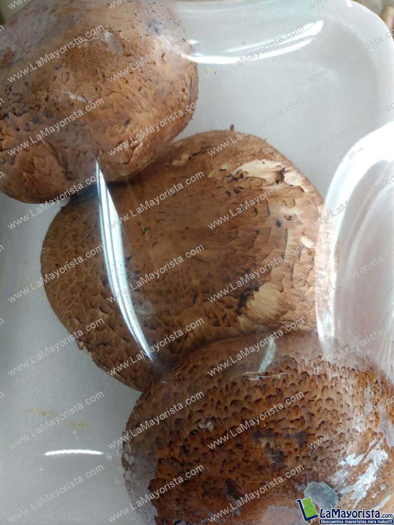 Champiñón portobello