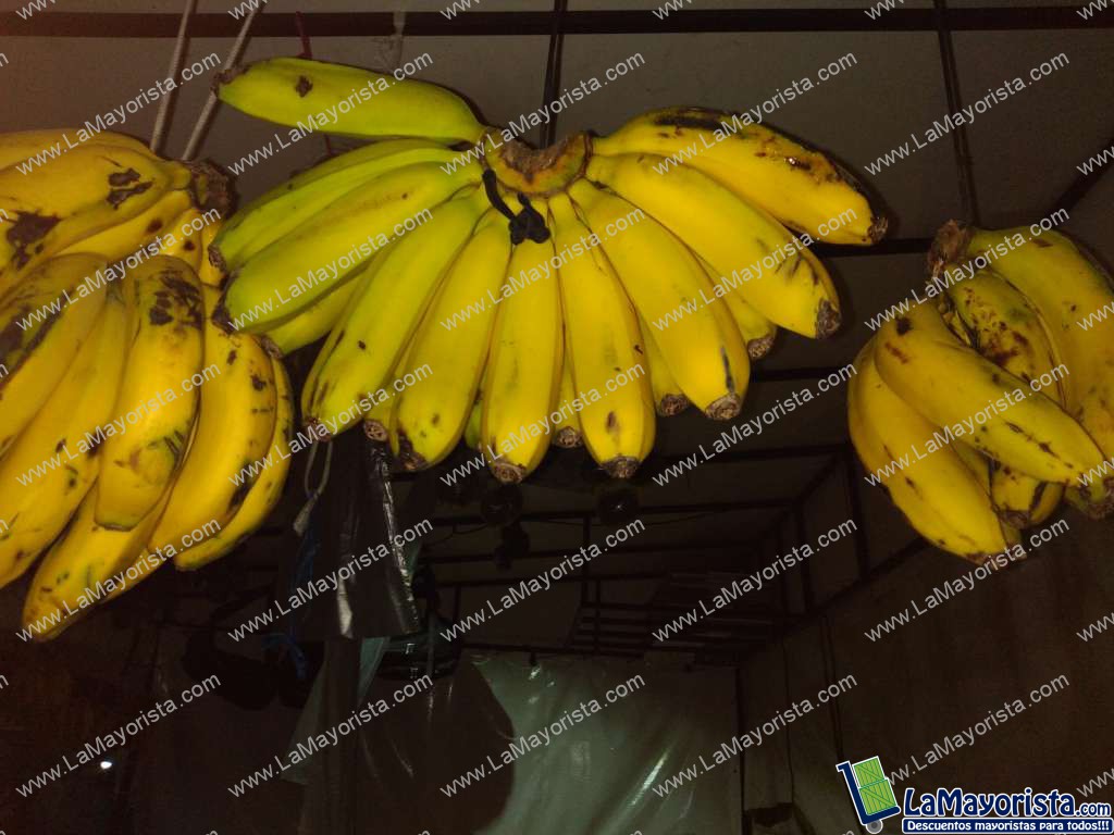 Banano criollo sin carburación
