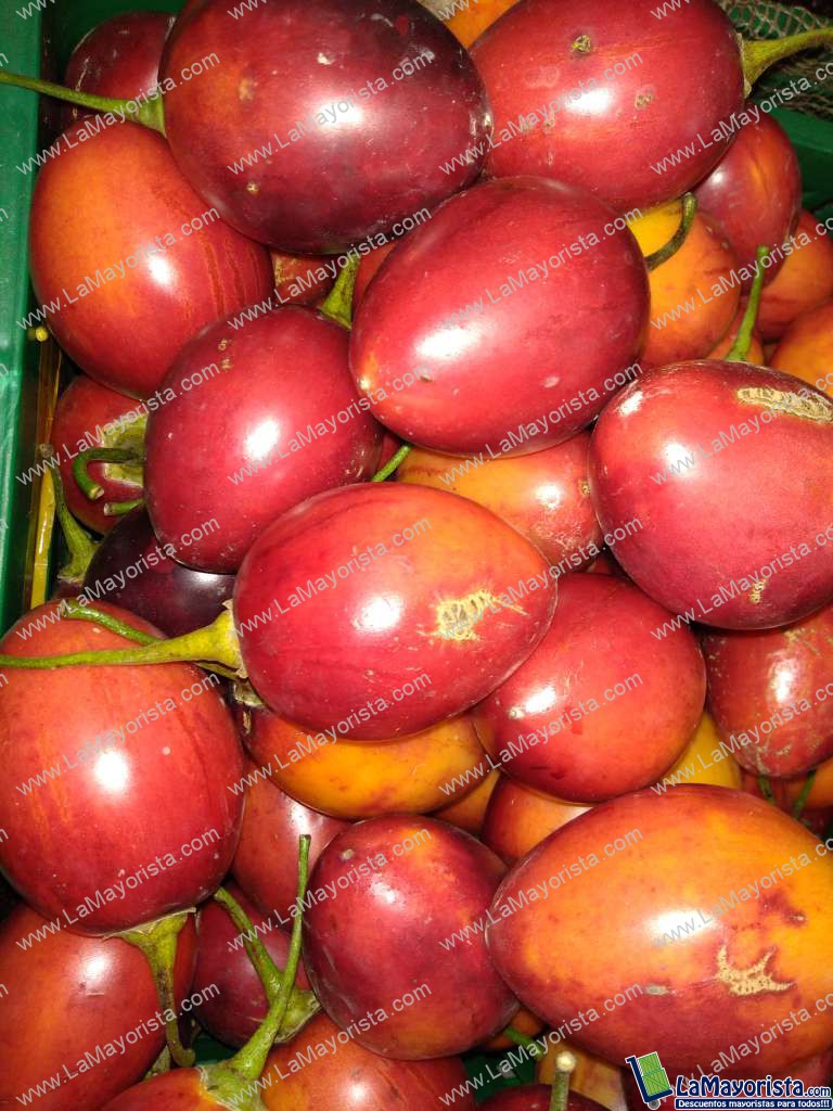 Tomate de árbol injerto