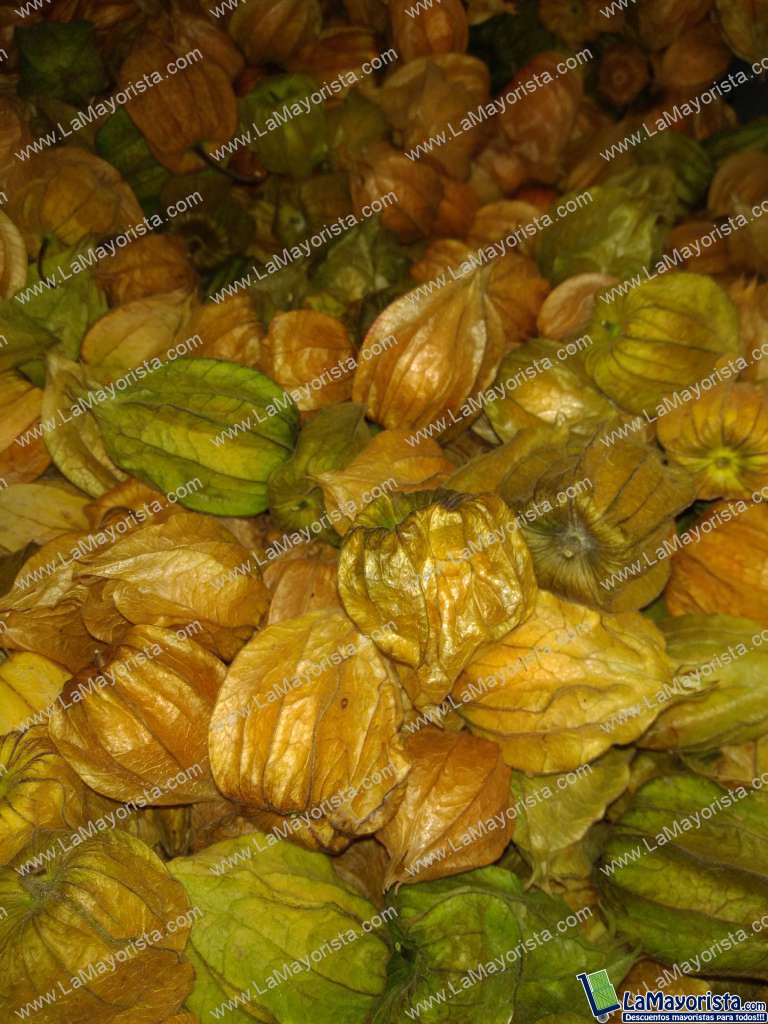 Uchuva capacho