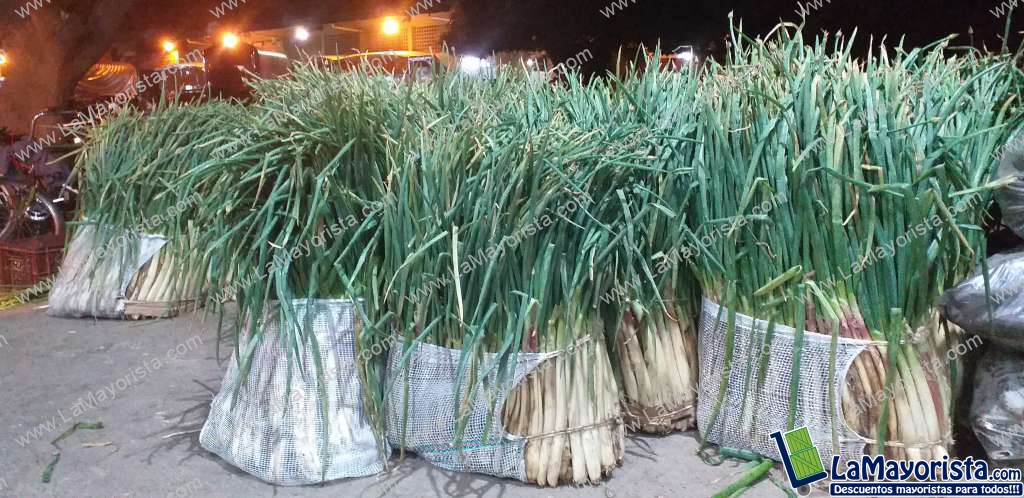 Cebolla de rama