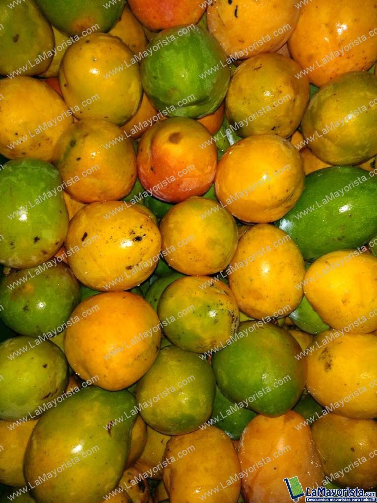 Mango criollo