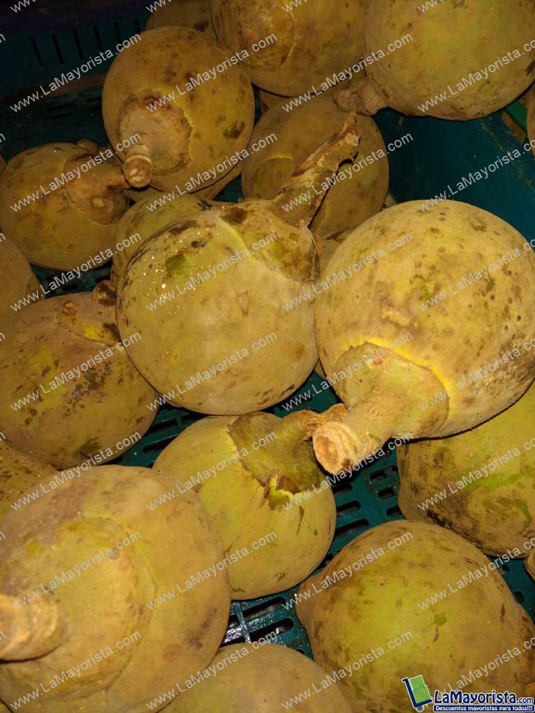 Zapote