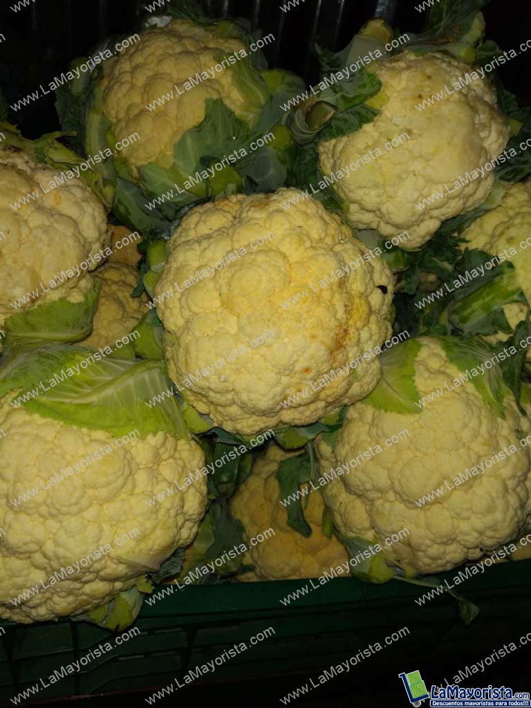 Coliflor