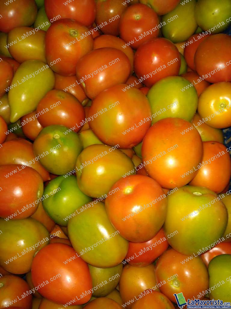 Tomate chonto