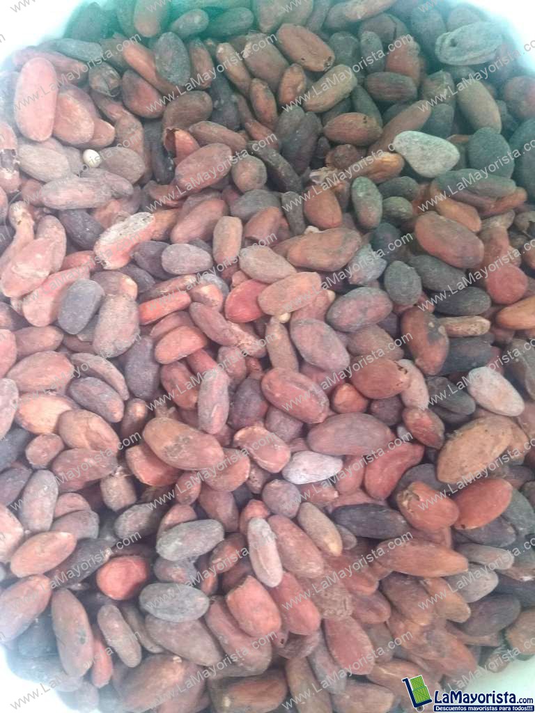 Cacao