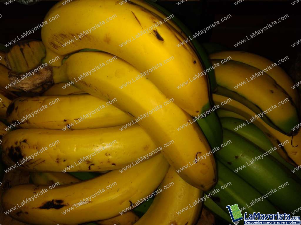 Banano criollo