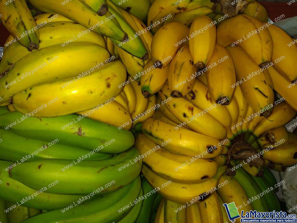 Banano criollo