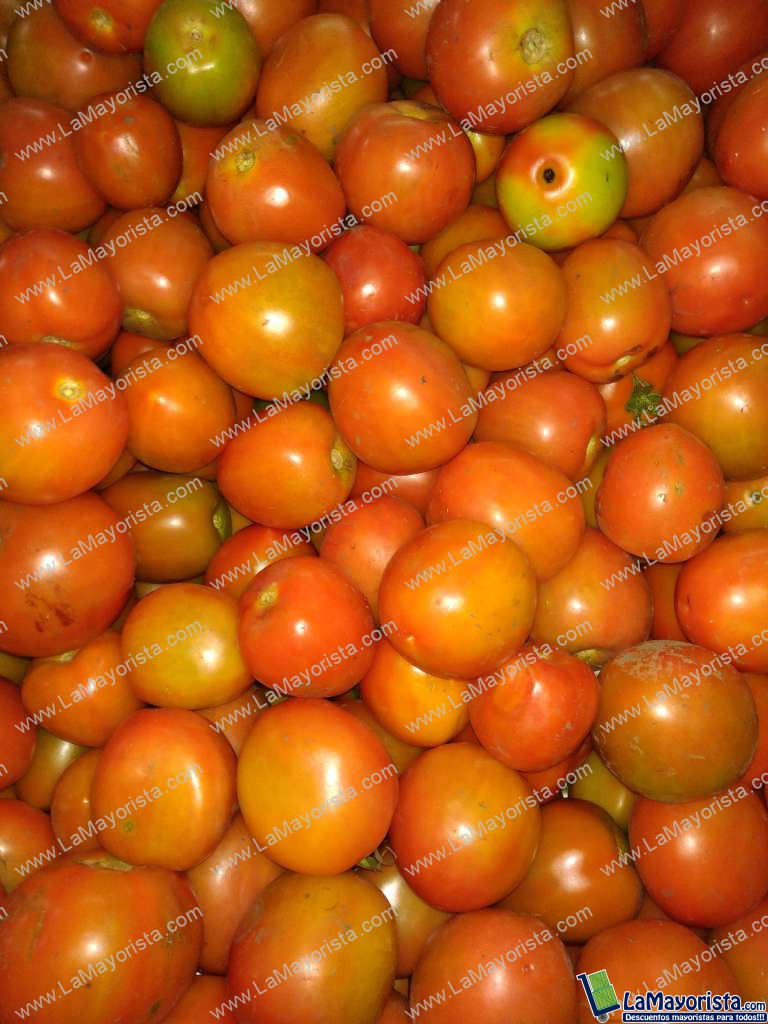 Tomate chonto