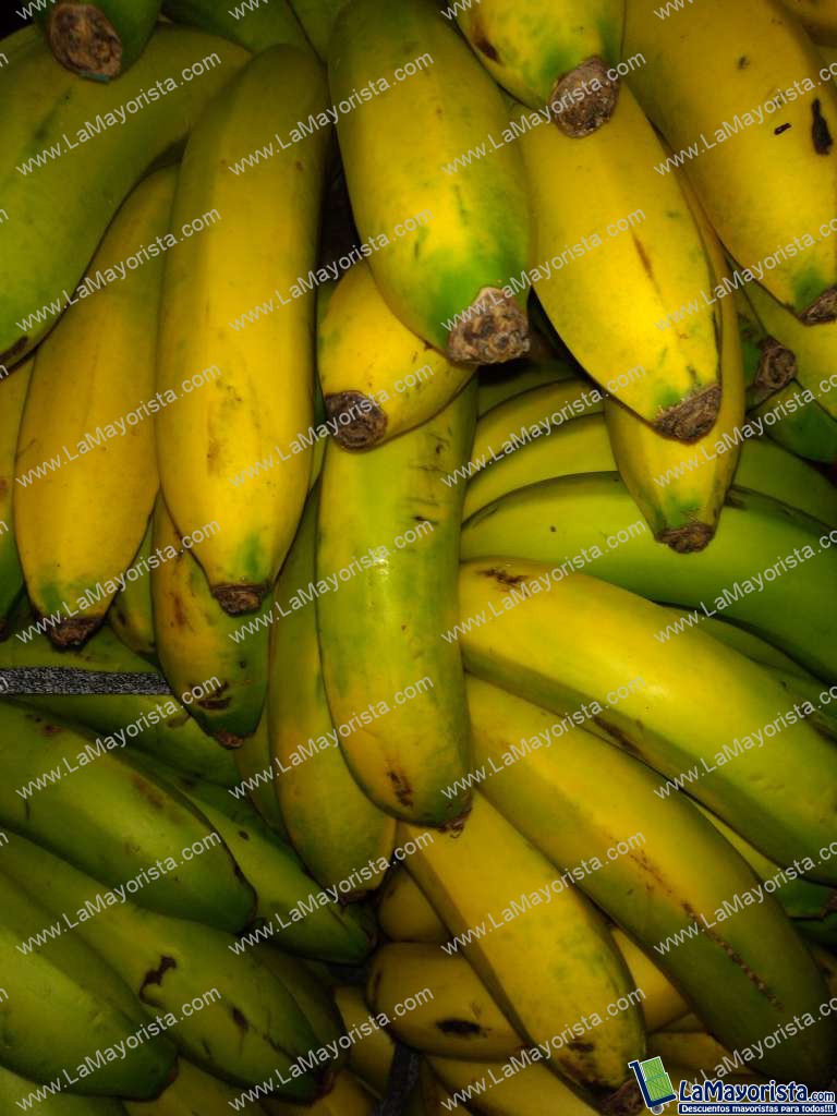 Banano criollo