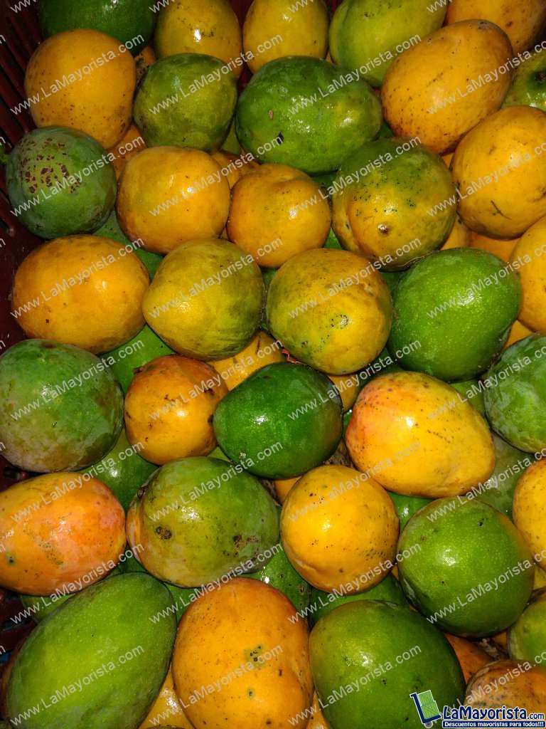 Mango criollo extra