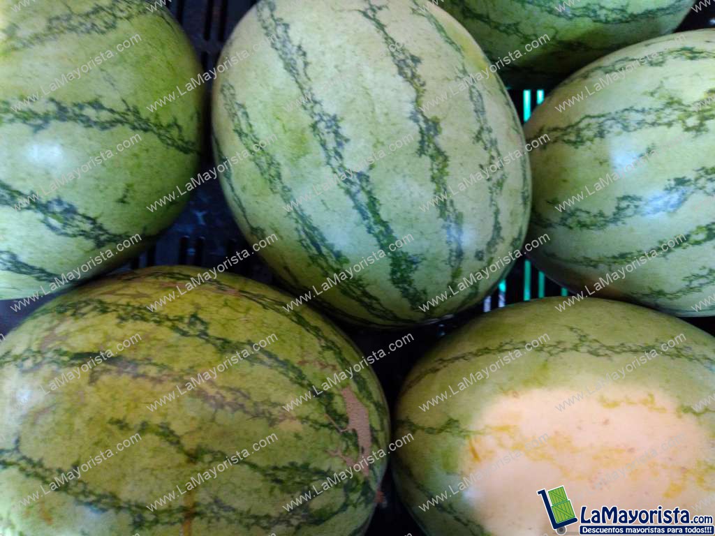Sandia baby