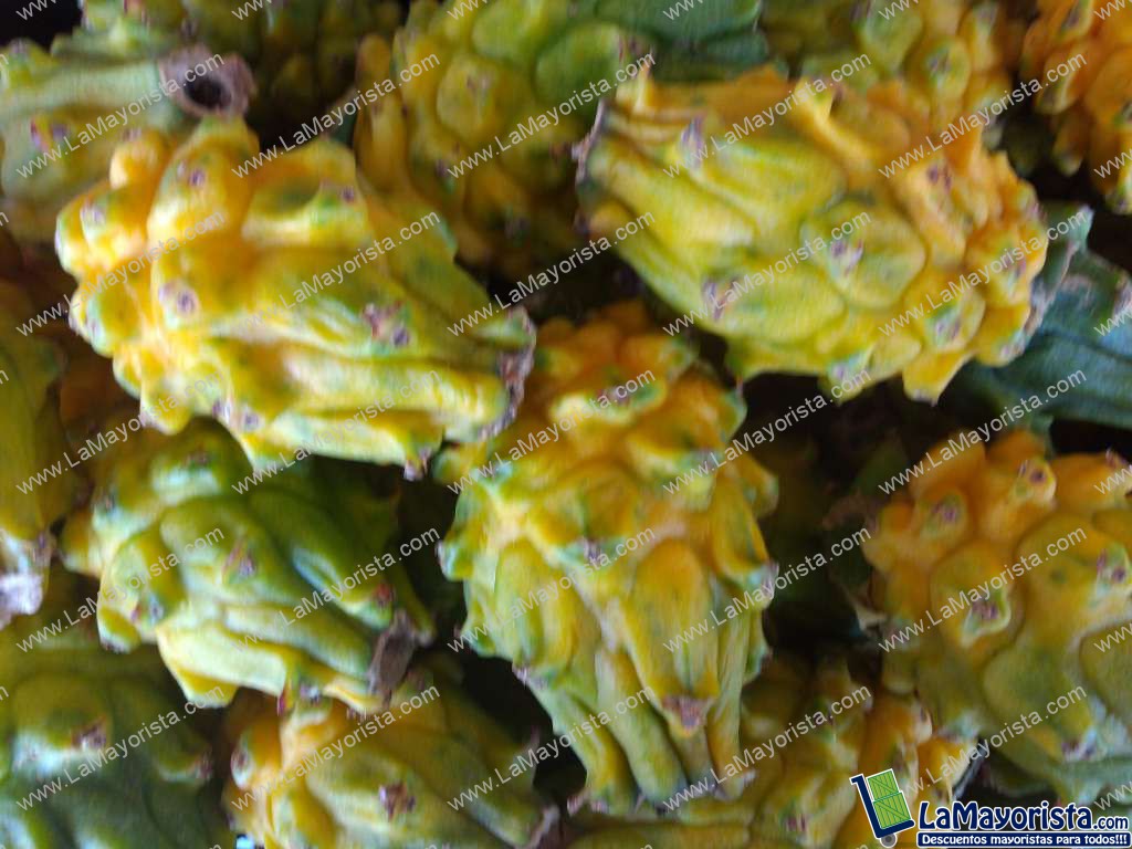 Pitaya