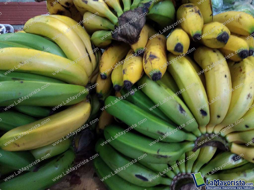 Banano criollo