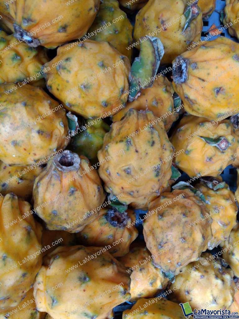 Pitaya