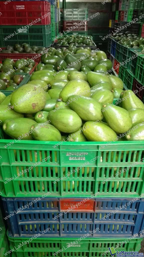 Aguacate papelillo