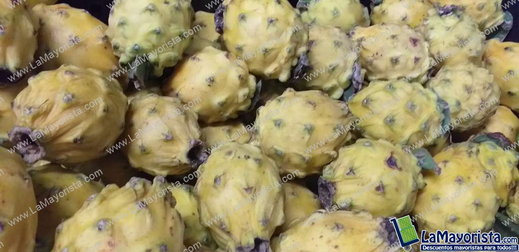 Pitaya nacional