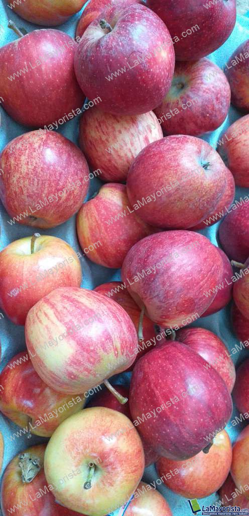 Manzana gala x 12unid