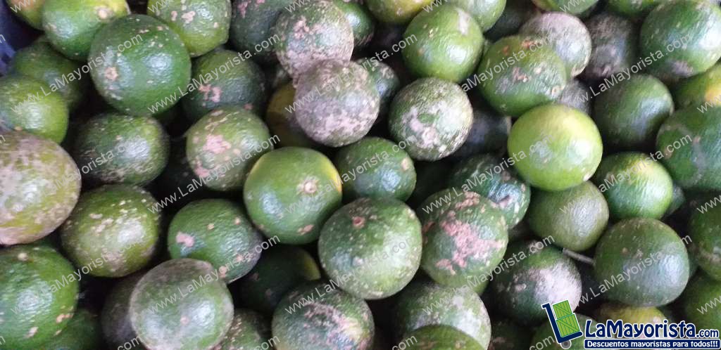Limon mandarino