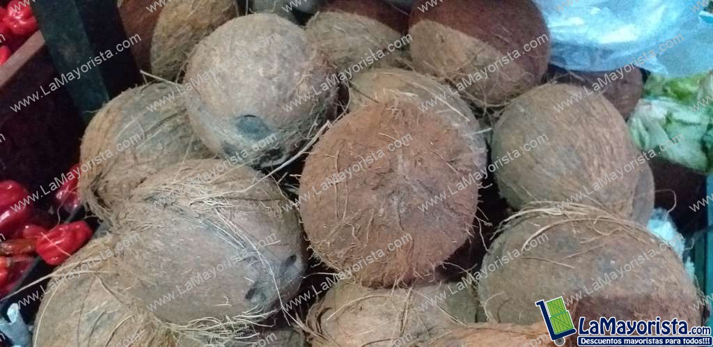 Coco referencia grande