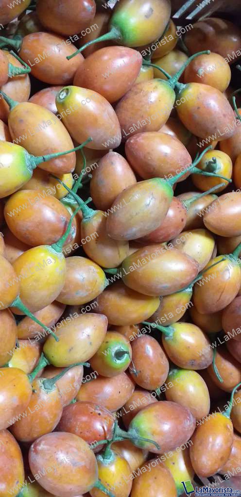 Tomate de arbol