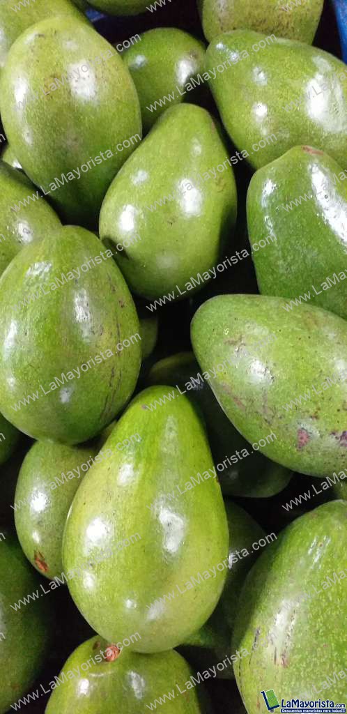 Aguacate papelillo