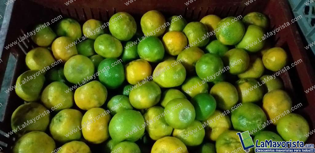 Mandarina criolla