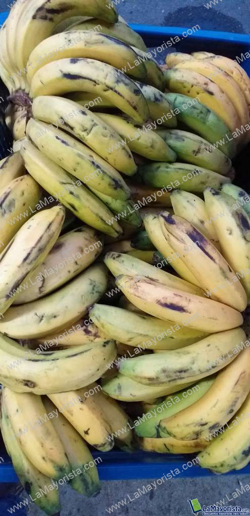 Banano