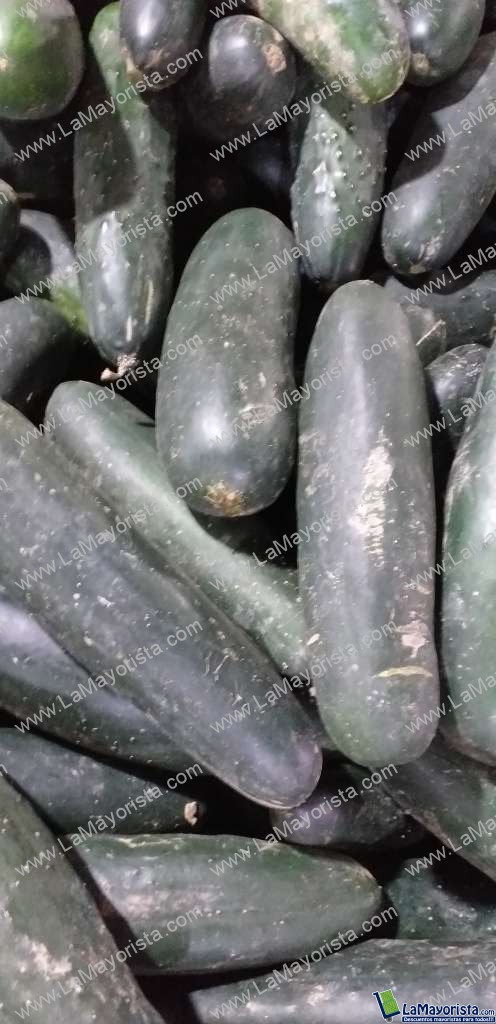Pepino