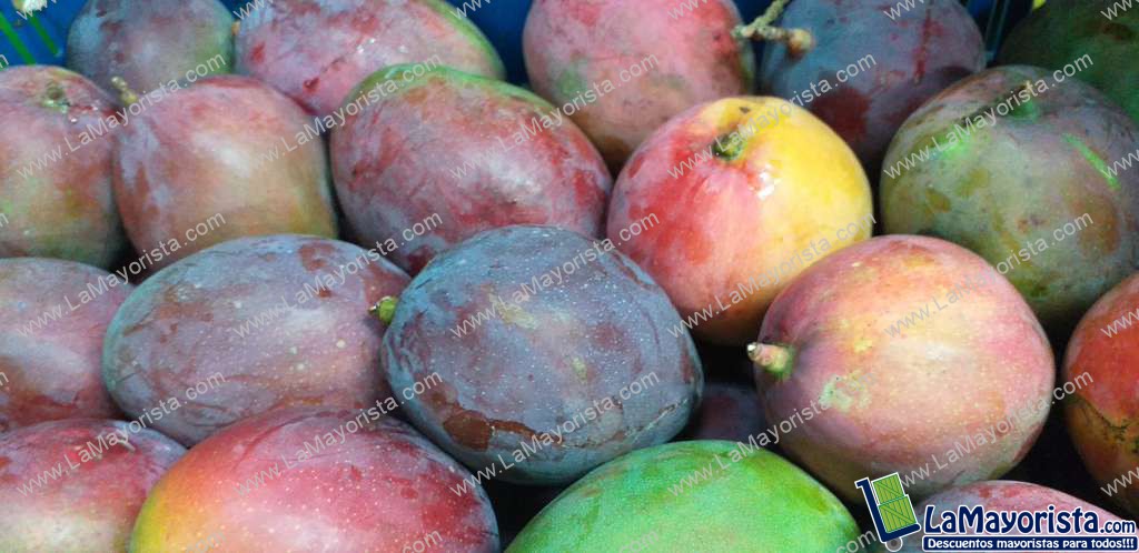 Mango tomy