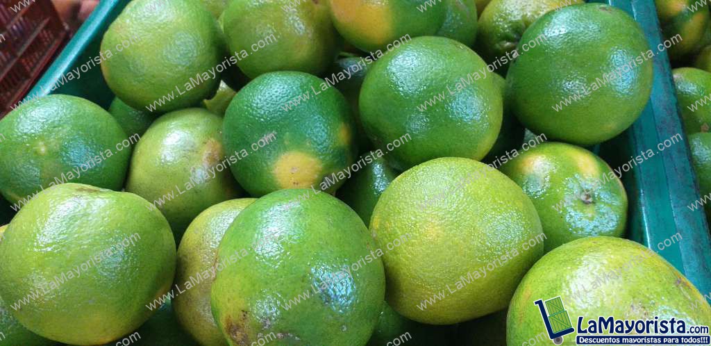 Naranja valencia 1ra