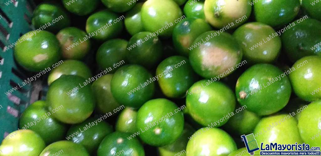 Limon tahiti