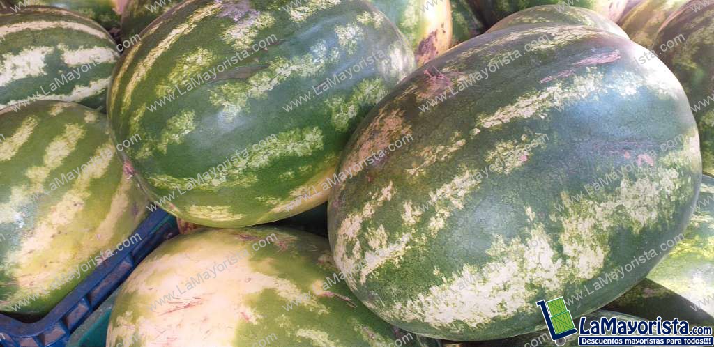 Sandia baby