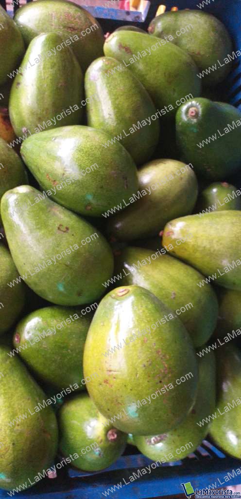 Aguacate papelillo