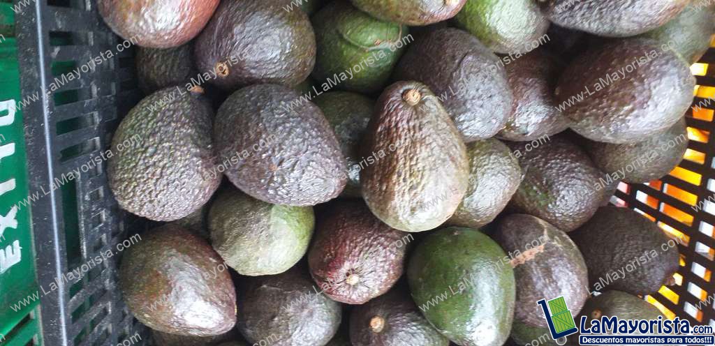 Aguacate hass