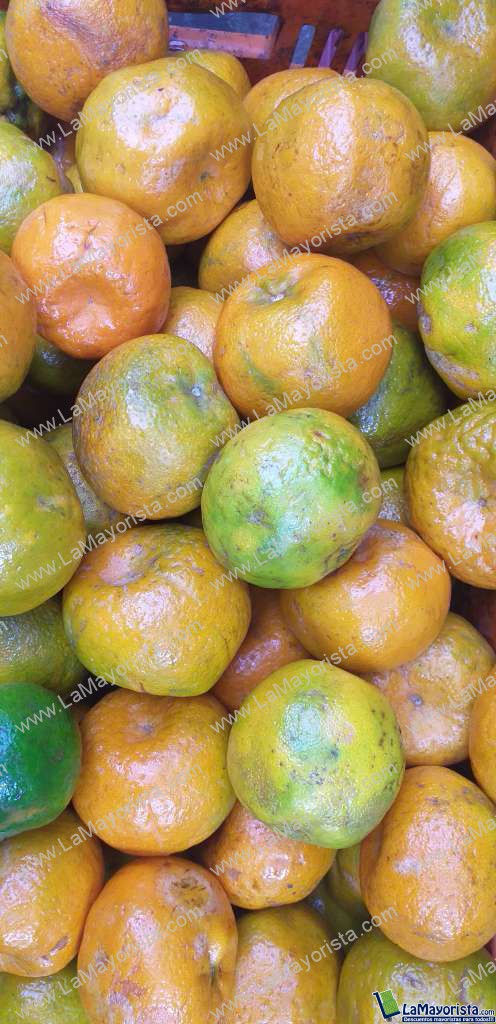 Mandarina oneca