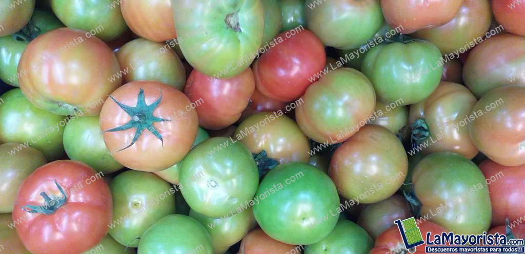 Tomate parejo