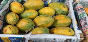 Papaya tahino