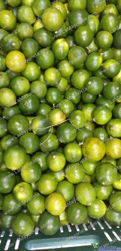 Limon tahiti pequeño