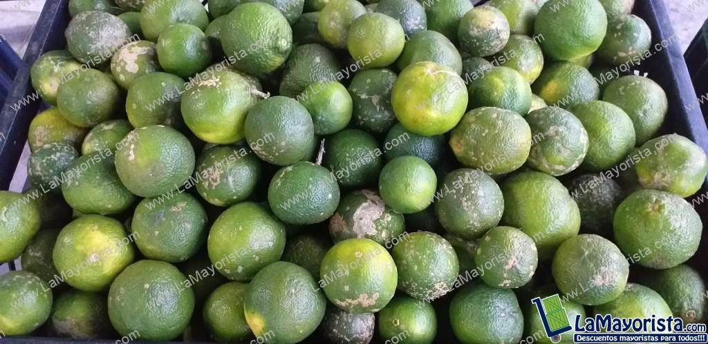 Limon mandarino