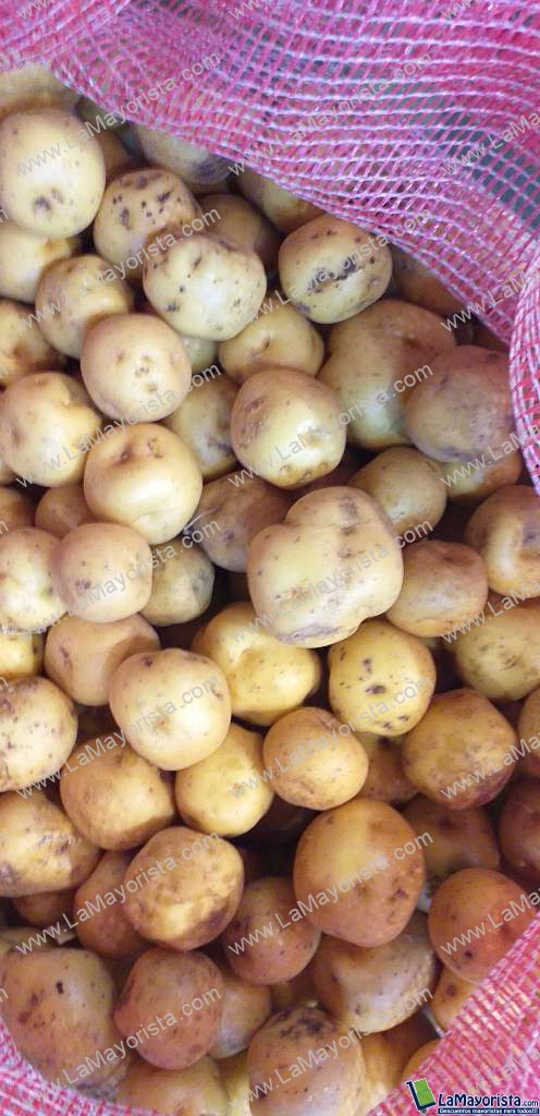 Papa criolla gruesa