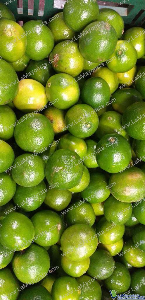Limon tahiti