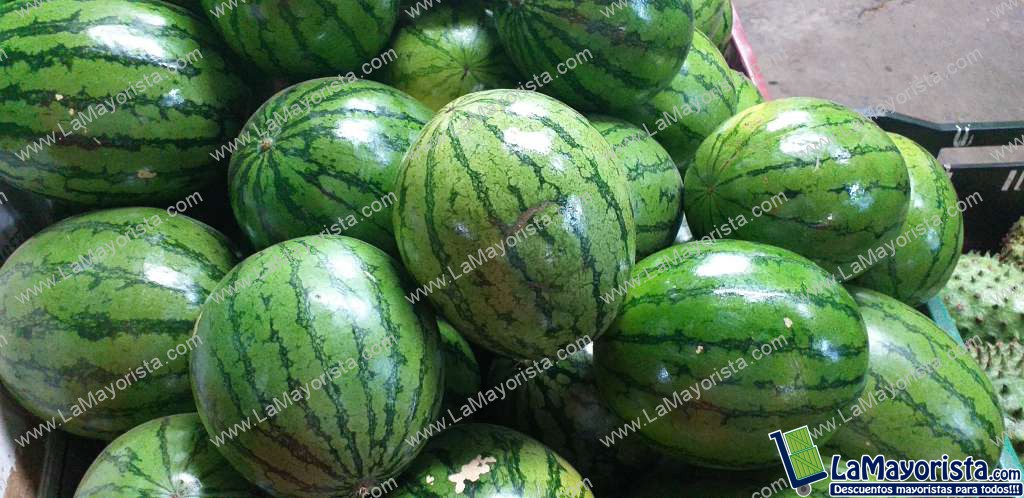 Sandia baby