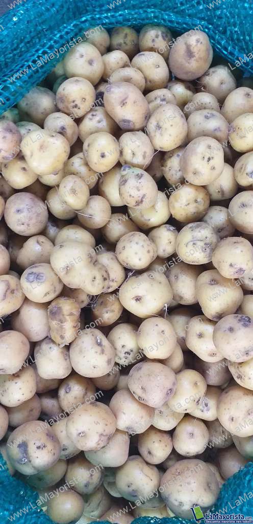 Papa criolla gruesa
