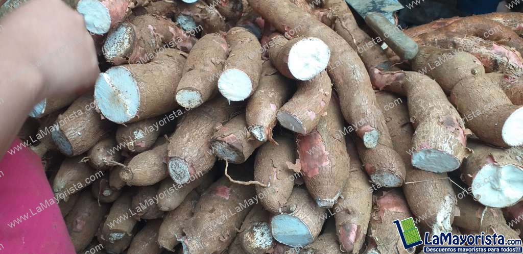 Yuca suelta