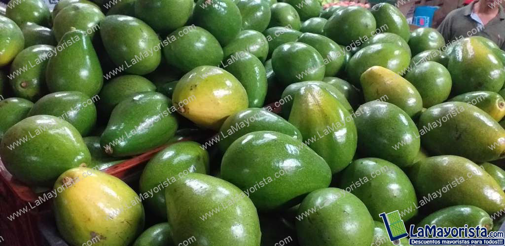 Aguacate papelillo