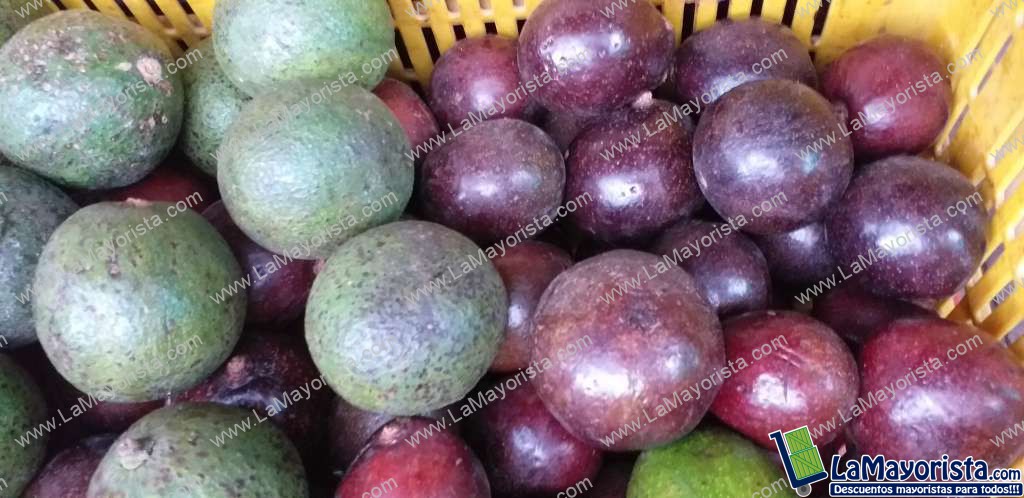 Aguacate collin reds